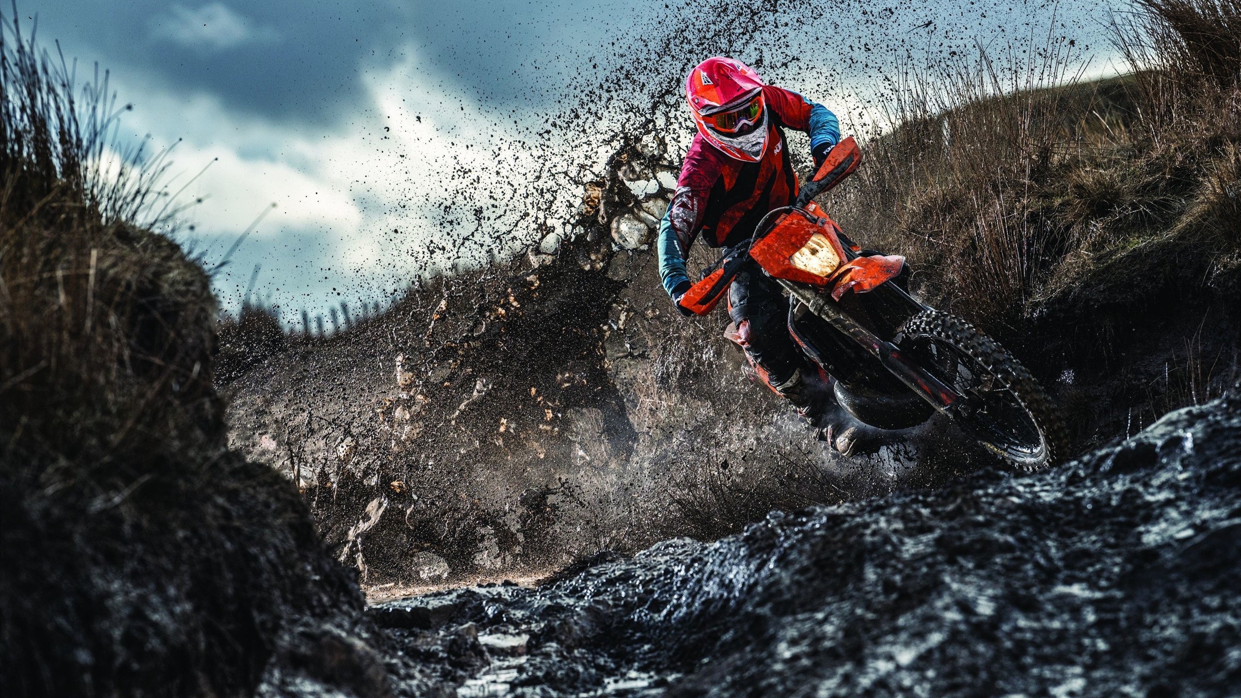 年度焦点之战，黄蜂蛰伤魔术，青春风暴席卷奥兰多